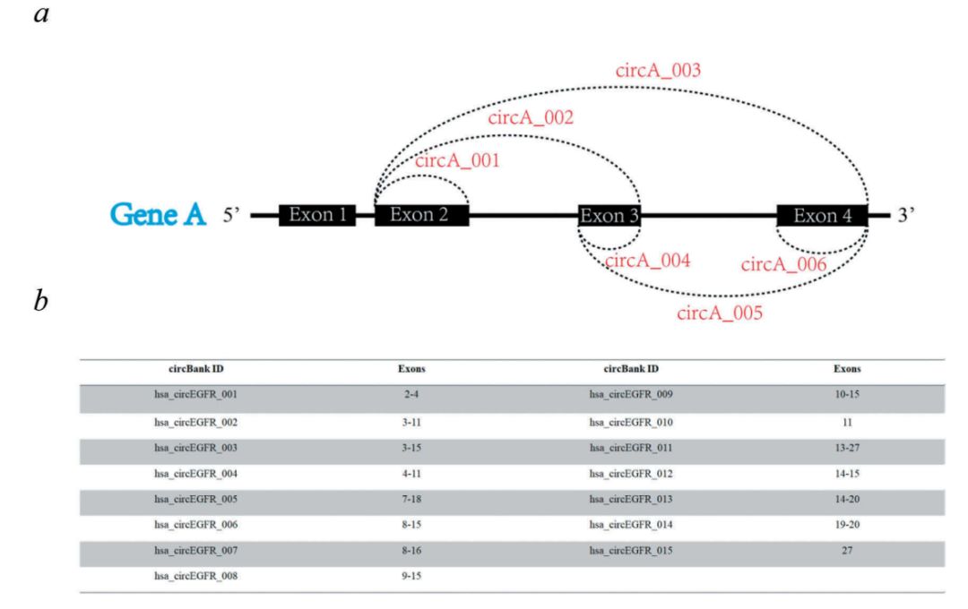 C:\Users\DELL\Documents\WeChat Files\Jarel_liu\FileStorage\Temp\e0be98ac19370af16b5fe81cdabdce02