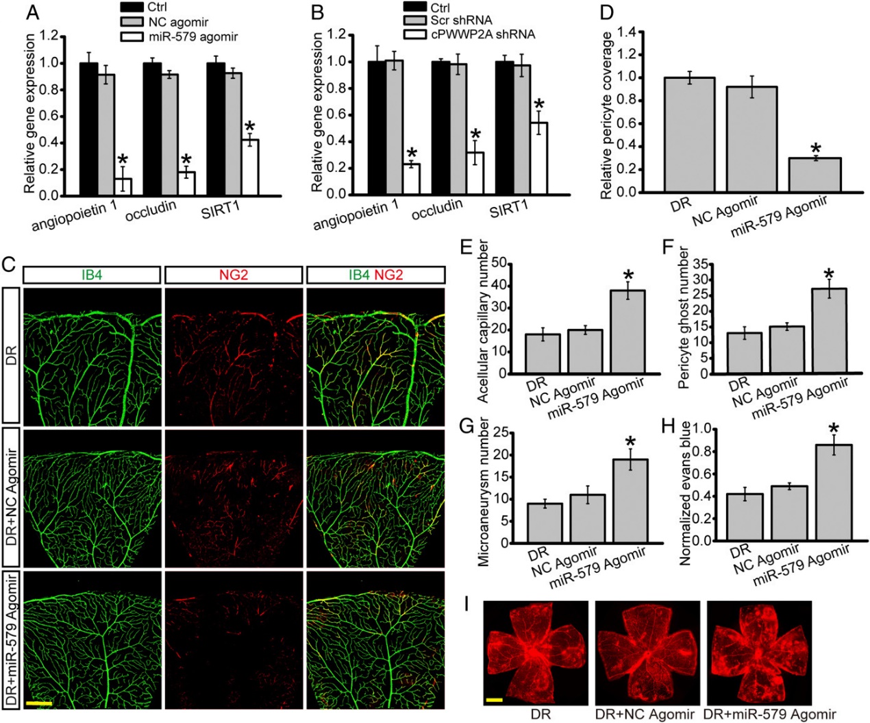C:\Users\DELL\Documents\WeChat Files\Jarel_liu\FileStorage\Temp\4c987b6c645cae1c81fdc3cf44928416