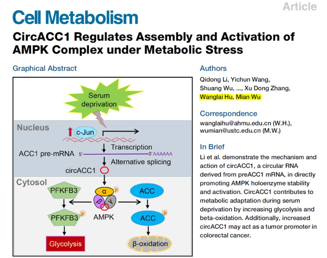 C:\Users\Administrator\Documents\WeChat Files\Jarel_liu\FileStorage\Temp\115a6ebddb5df48c8dc6fb7ebc0b13ca.jpg