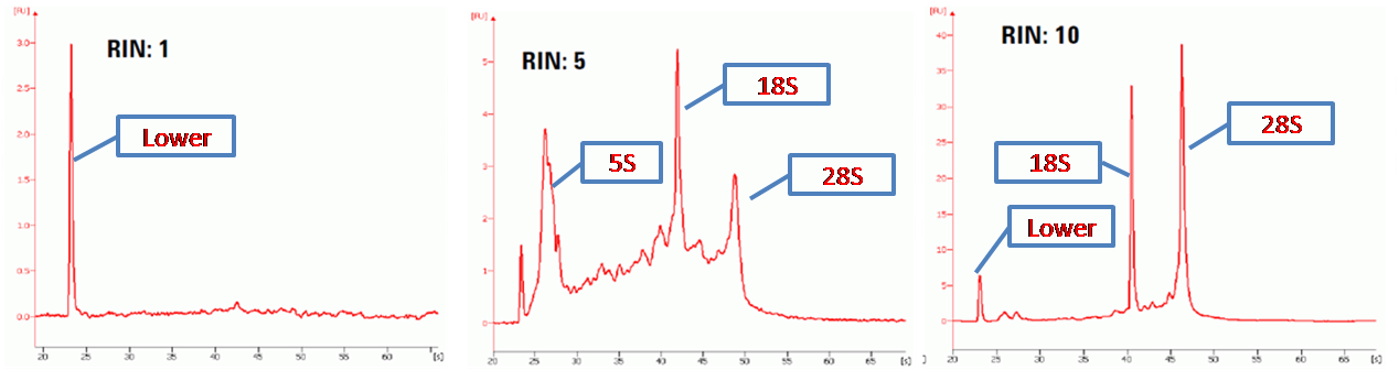 不同RIN值的RNA样品.png