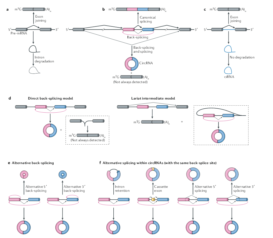 微信图片_20200511102108