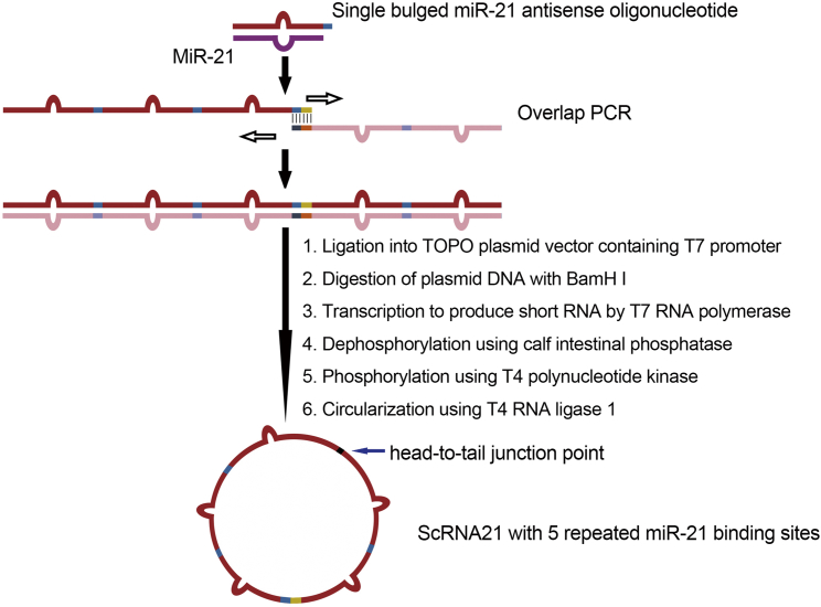 An external file that holds a picture, illustration, etc.
Object name is gr2.jpg