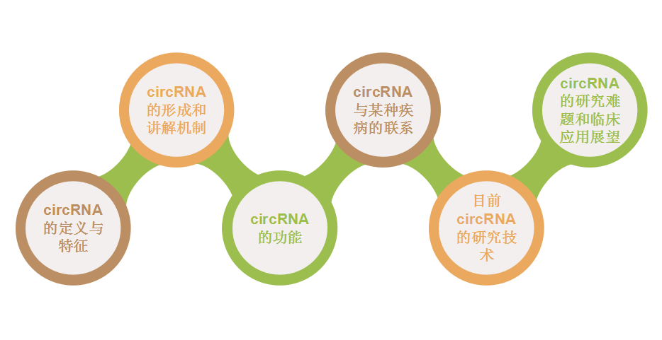 QQ截图20180820170416