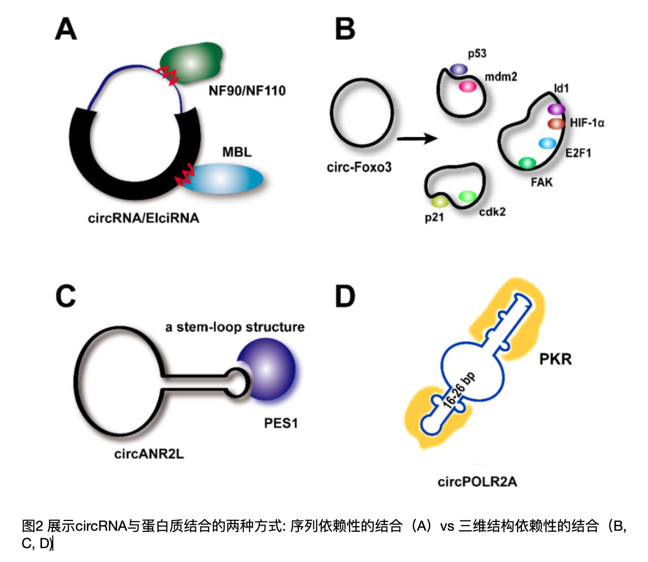 图片包含 游戏机
描述已自动生成