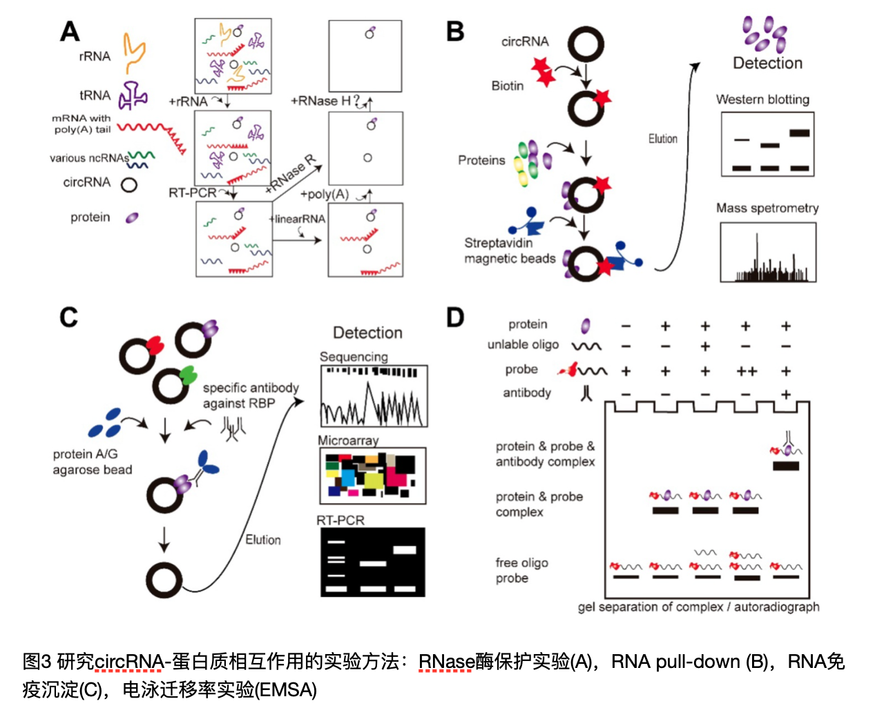 社交网络的地图
描述已自动生成